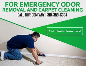 Our Services - Carpet Cleaning Redondo Beach, CA